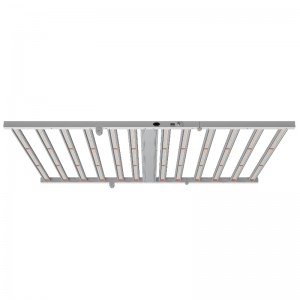 1250W 4 * 6ft Spectre complet Éclairage horticole pour le LED de serre intérieur Light Light