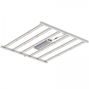 800W 4 * 4ft Spectre complet Éclairage horticole pour la serre intérieure ou le LED de culture commerciale pousse-t-il léger