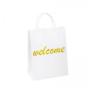 Sacs de fête en papier Sac en papier emballage Sac à plats de luxe Sacs en papier pour lanourriture Bagt de papier