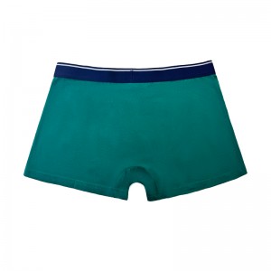 Wholesale Plus Taille Men Underwear Polyester Halloween Ghost Men Boxer Brief