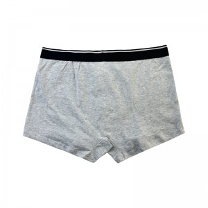 Personnaliser les sous-vêtements de couleur ordinaire full imprimé confortable Men Soft Men Boxer Brief