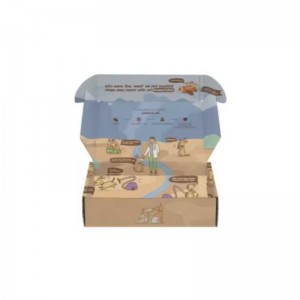 Boîtes de transport personnalisées Emballage de livraison Packaging Boîte de diffusion avec logo