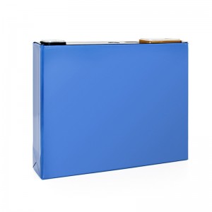 GOSION 3.2V 50A LIFEPO4 Systèmes de stockage d\'énergie solaire à cellules prismatiques rechargez la batterie au lithium