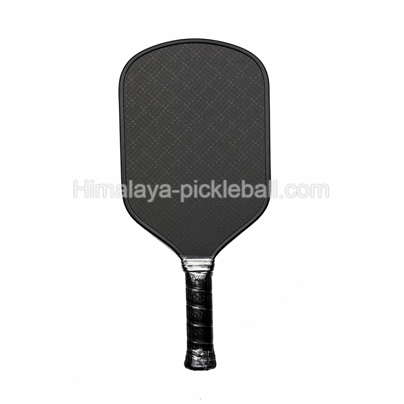 Pic de pickleball 15a