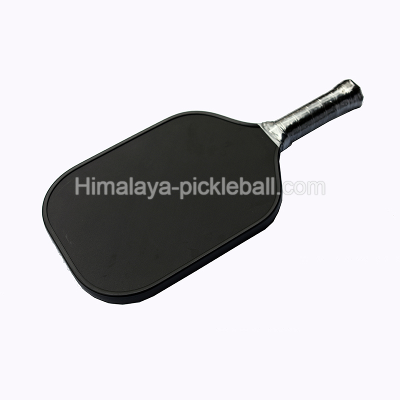 Pic de pickleball 20a