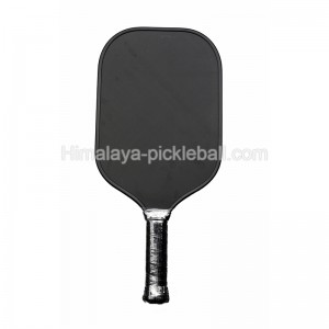 Pic de pickleball 20a