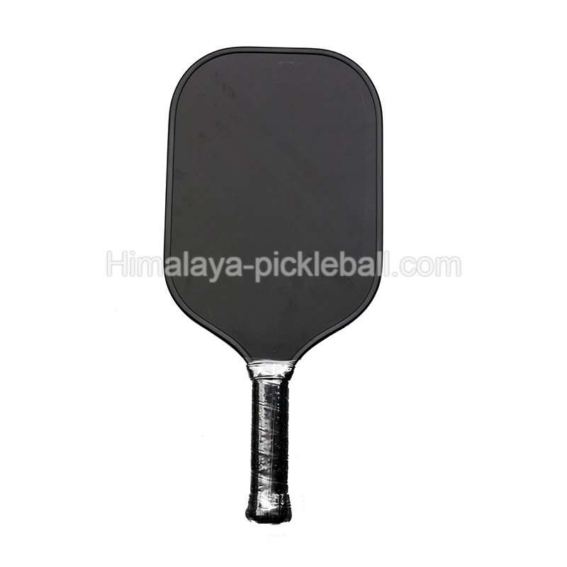 Pic de pickleball 20a