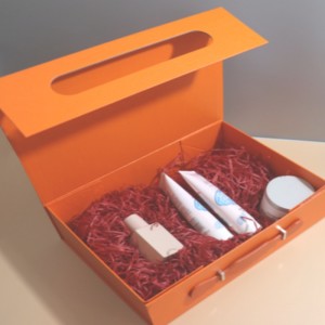 Boîte d\'emballage multifonctionnelle portable