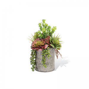 Plantes succulentes artificielles