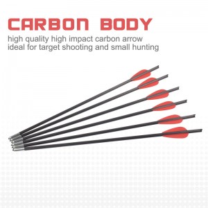 119722 Boulons d\'arbalète 12,8 pouces OD5,5 mm