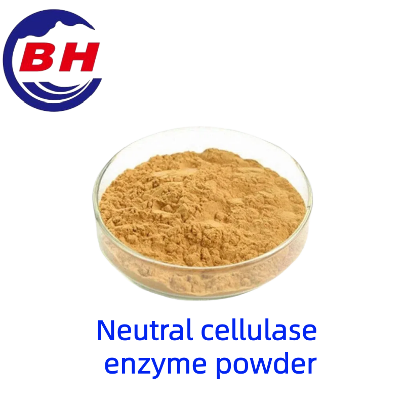 Poudre d\'enzyme cellulaseneutre H8810
