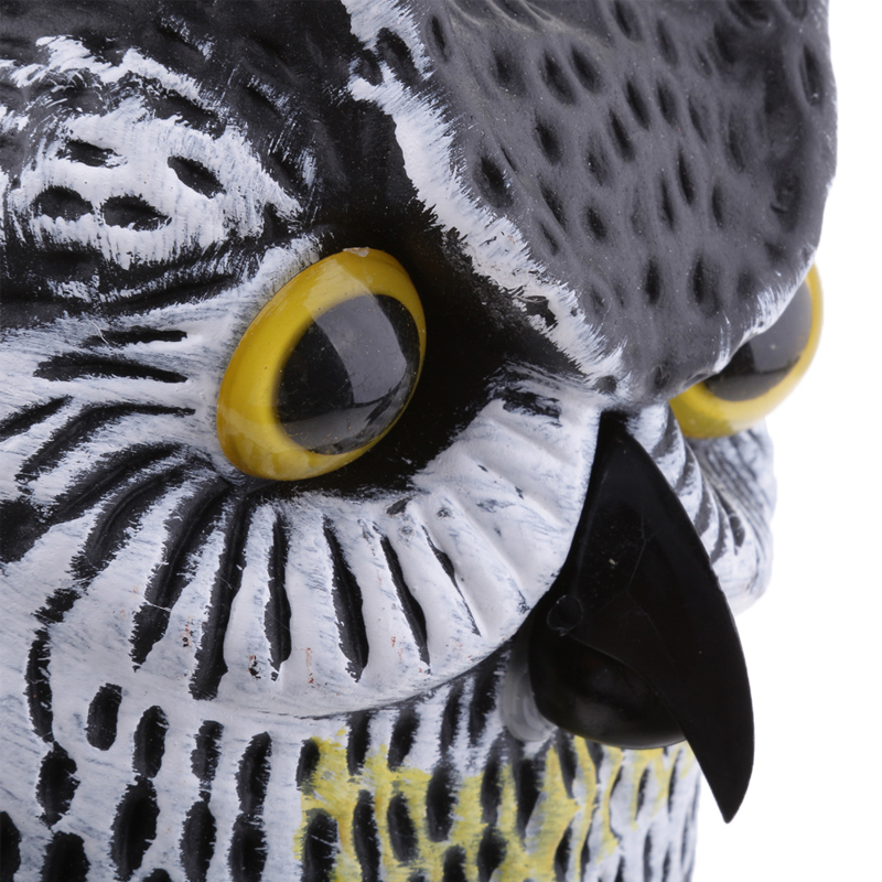 1631023516.jpg owl3-4.jpg